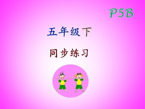 sg Chinese Primary 5B 五年级下